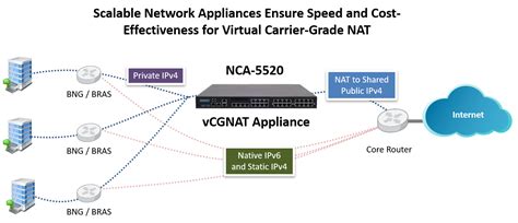 Netelastic Virtual Cgnat Router Lanner Electronics Network