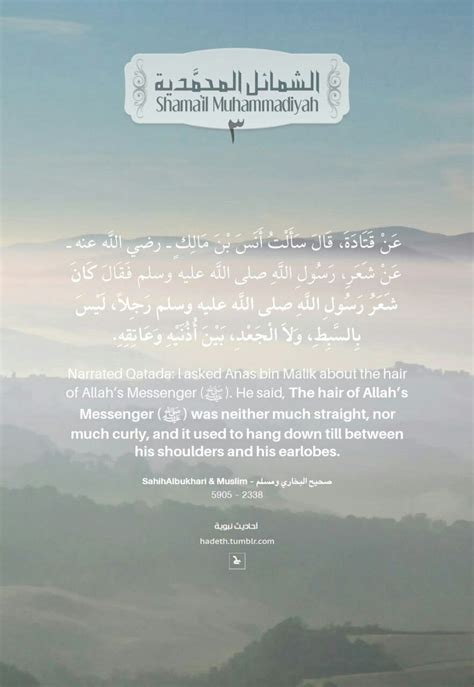 Narrated Qatada: l asked Anas bin Malik about the hair of Allah’s ...