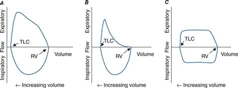 Approach To The Patient With Disease Of The Respiratory System Clinical Gate