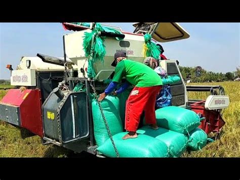 Mesin Panen Padi Combi Harvester Bimo 102 YouTube