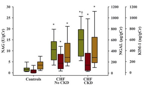 Relationship Between Ckd And Urinary Nag Ngal And Kim Shown Are Box