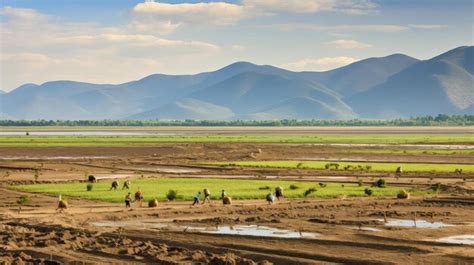 Premium Photo | River alluvial plains landscape