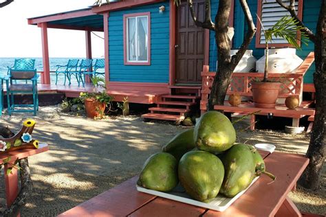 Bird Island In Belize