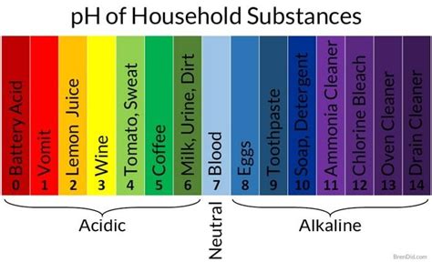 Ph Of Household Items