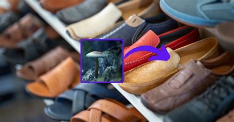 How To Remove Mold From Leather Shoes Top 10 Proven Ways