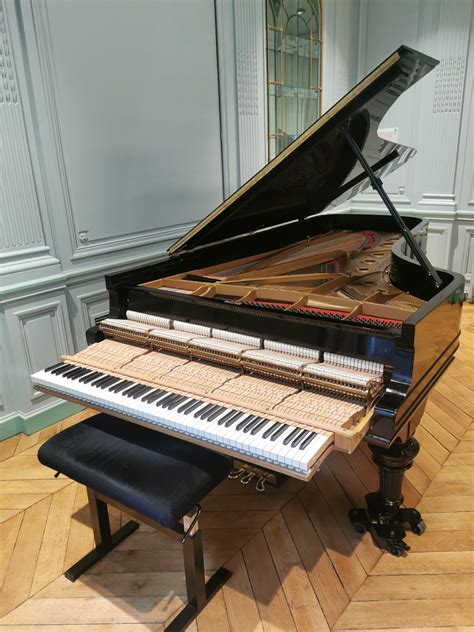 Préparation Steinway Sons mod D de 1905 François Frédéric Guy