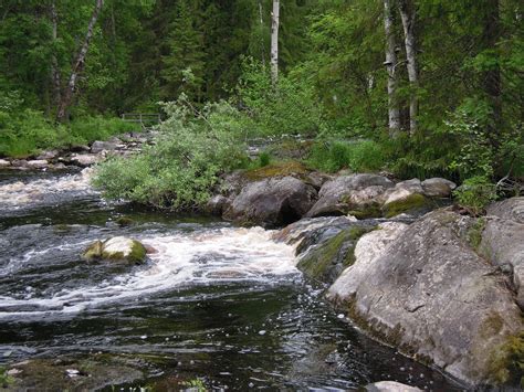 Landscape,nature,finnish,forest,lake - free image from needpix.com