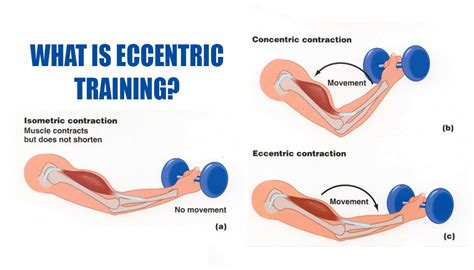 What is Eccentric Training? | Fitness Workouts & Exercises