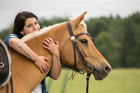 Palomino Horses History Fun Facts Photos And Care Seriously Equestrian