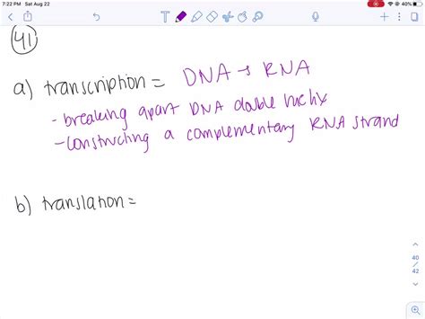 Solveda Describe What Occurs In The Process Of Transcription B