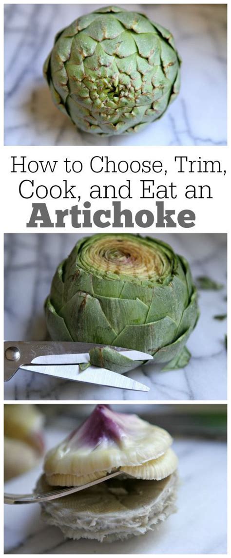 How To Choose Trim Cook And Eat An Artichoke Cooking Recipes