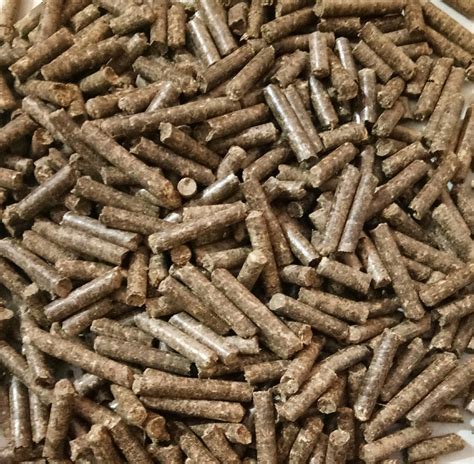 Biomass Pellets At Tonne Biomass Pellet In Ankleshwar Id