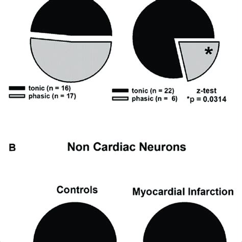 Myocardial Infarction Altered The Firing Pattern Of Cardiac Afferent Download Scientific