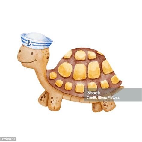 Watercolor Cute Smiling Turtle With Sailor Hat Isolated On White Baby