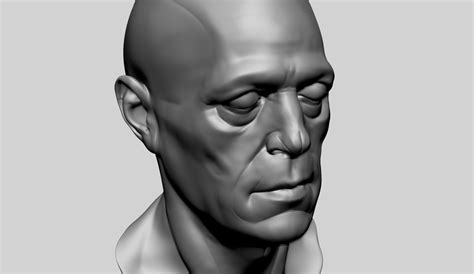 ArtStation - Male Head Anatomy B | Resources