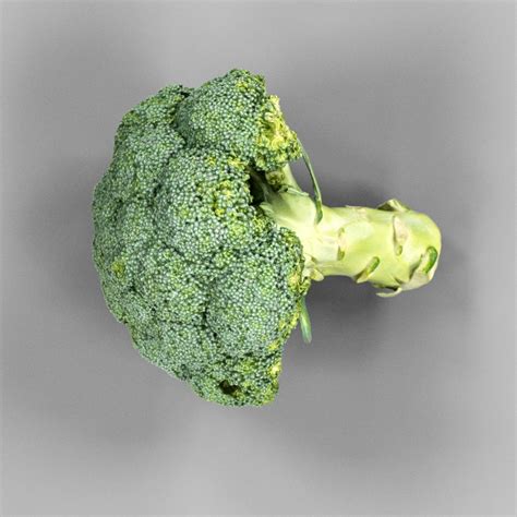 Broccoli 3d Model 20 Obj Free3d