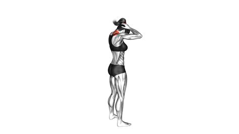 Neck Stretch Exercise Guide And Tips Forward Flexion Video