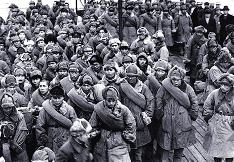 disturbing story    dysfunctional army  wwii  robert