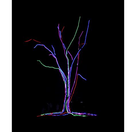 brooklyn botanic garden lightscape 12