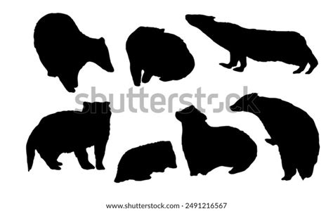 Set Silhouettes European Badgers Meles Meles Stock Vector Royalty Free