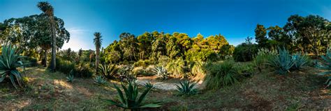 Lokrum Botanical garden 360 Panorama | 360Cities