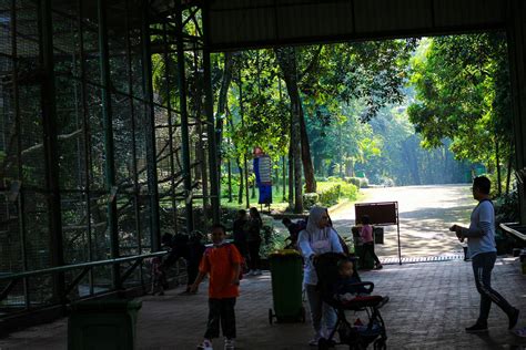 Jakarta Indonésie En Décembre 2022 Le Zoo De Ragunan Est Lun Des