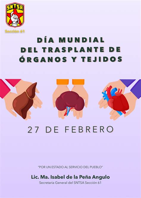 Día Mundial Del Trasplante De Órganos Y Tejidos