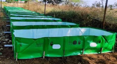 450 Gsm Hdpe Vermi Bed At Rs 1250 Vermicompost Beds In Ghansawangi