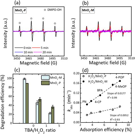 Facile Preparation Of α Mno 2 Nanowires For Assembling Free Standing