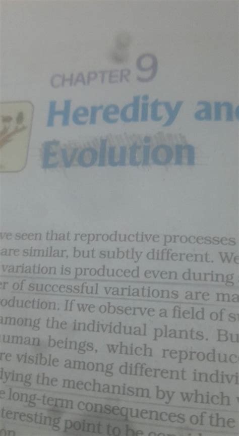 Chapter 9heredity Anevolutionve Seen That Reproductive Processes Are S