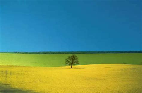 A Brescia Una Mostra Raccoglie Opere Di Franco Fontana Pioniere