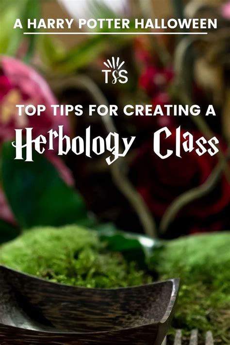 The Ultimate Hogwarts Dinner Event How To Create A Herbology Class Harry Potter Birthday