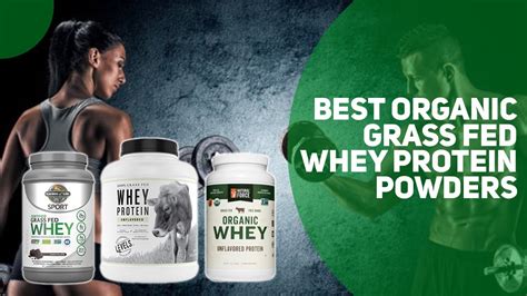 Best Organic Grass Fed Whey Protein Powders Our Top Picks Youtube