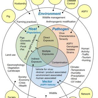 Epidemiological triad modified to structure possible disease ...