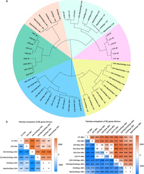 Gene Expression Clustering And Summary Of Differential Gene Expression Download Scientific