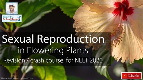 Sexual Reproduction In Flowering Plants Dr Sunil Kumar Revision