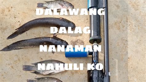 Ang Lakas Ng Bagong Gawa Kong Bala Dalawang Dalag Ang Nahuli Ko