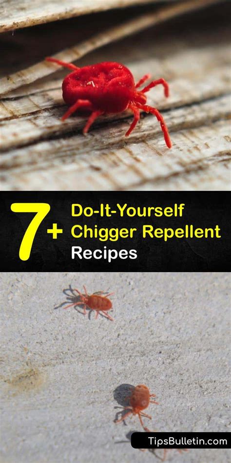 7+ Do-It-Yourself Chigger Repellent Recipes