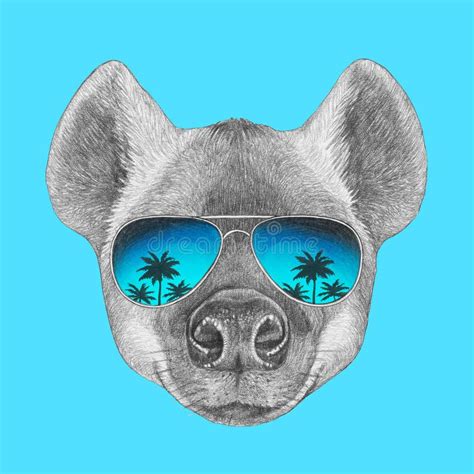 Portrait Of Hyena With Mirror Sunglasses Stock Illustration Illustration Of Beauty Funny