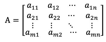 Partes De Una Matriz