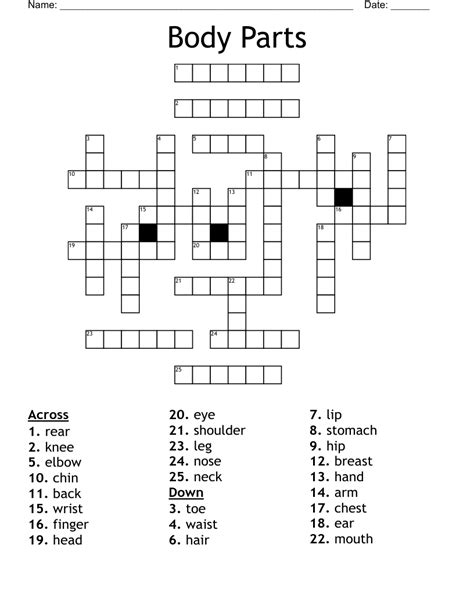 Body Parts In Spanish Crossword WordMint