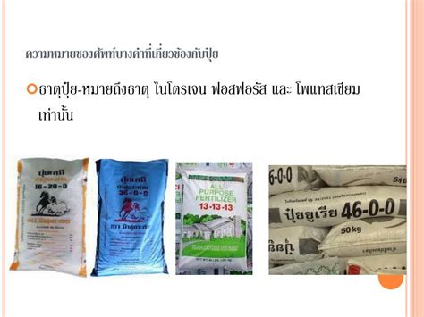 Ppt ปุ๋ย Fertilizers Powerpoint Presentation Free Download Id5601957