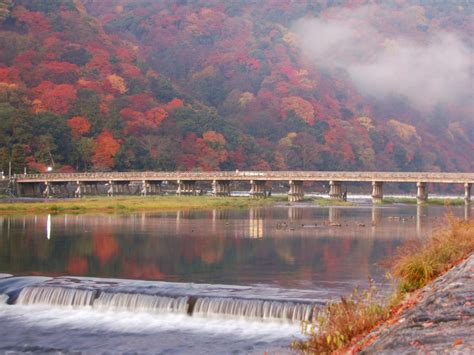 10 Best Places To See Autumn Leaves In Kyoto 2024 Japan Wonder Travel