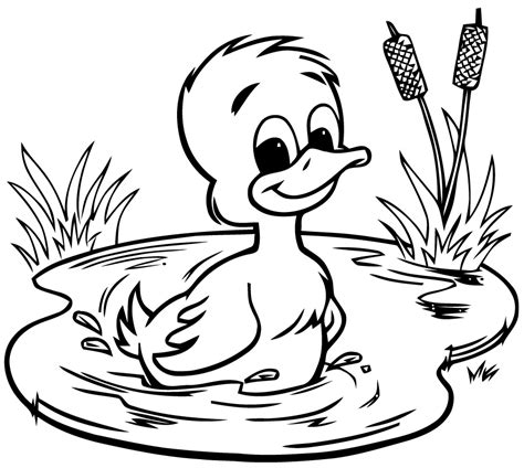 Joyeux Canard Coloriage Image Coloriage