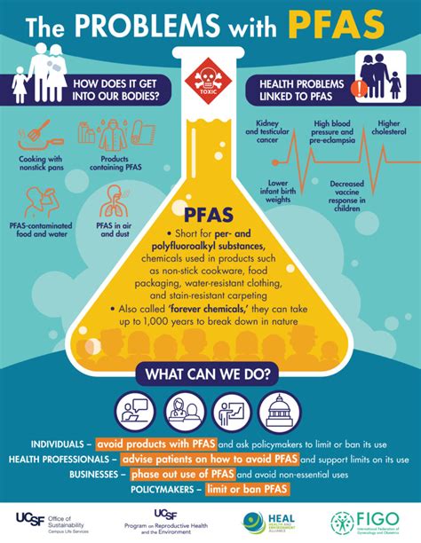 Health And Environment Alliance How Pfas Chemicals Affect Women