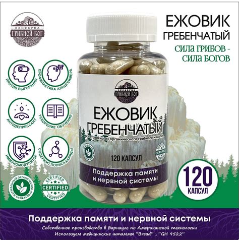 Купить Ежовик Гребенчатый мицелий Грибной Бог недорого в Москве