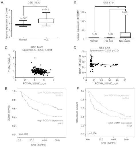 Thyroid Hormones Suppress Foxm1 Expression To Reduce Liver Cancer