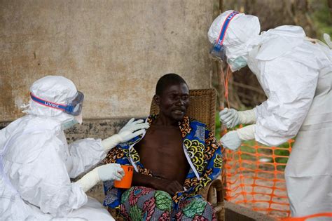 Un Mundo En Paz La Oms Declara Emergencia De Salud Pública