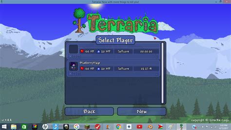 Terraria All Character