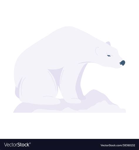 Polar bear animal Royalty Free Vector Image - VectorStock